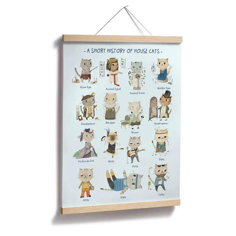 Poster Loske - History of house cats 