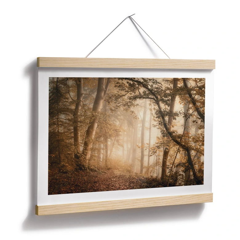Poster Wald im morgendlichen Nebel - Maier 