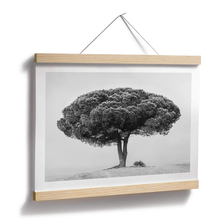 Plakat Martin - Drzewo w czerni i bieli 