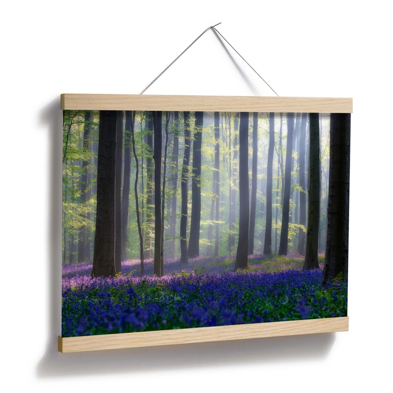 Poster Popan - Hyacinthen 