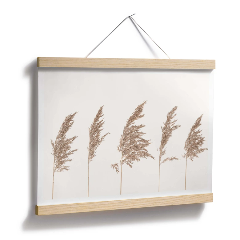 Poster Schilfgras 