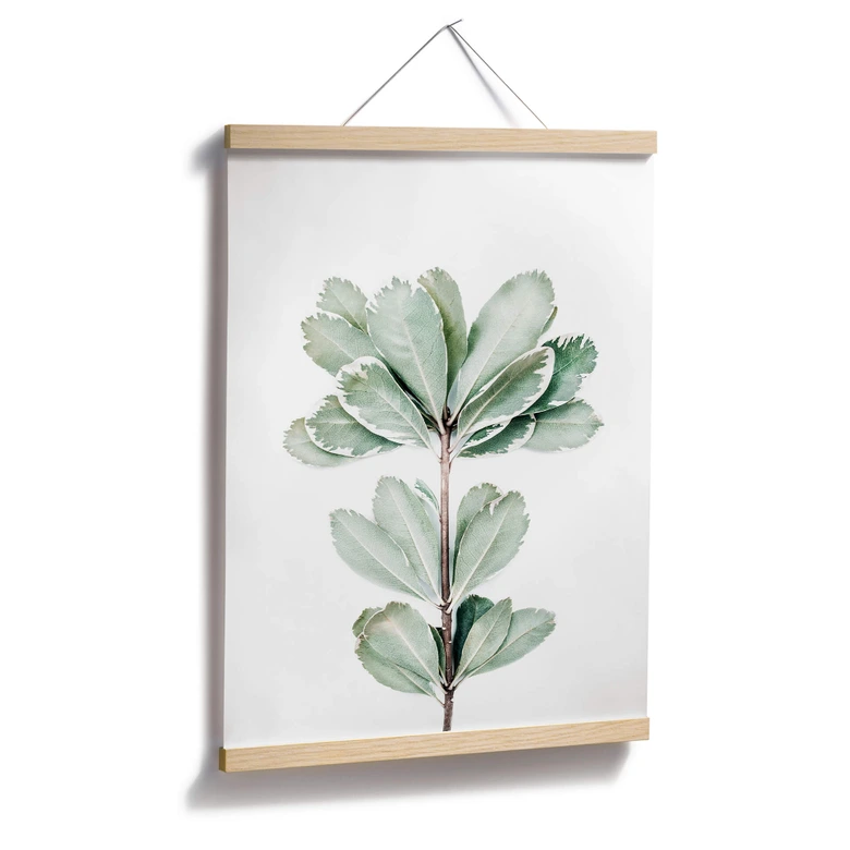 Poster Sisi & Seb - Botanik 