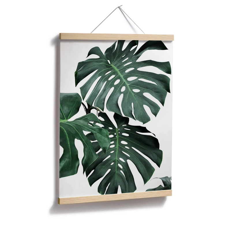 Plakat - Sisi & Seb - Monstera 