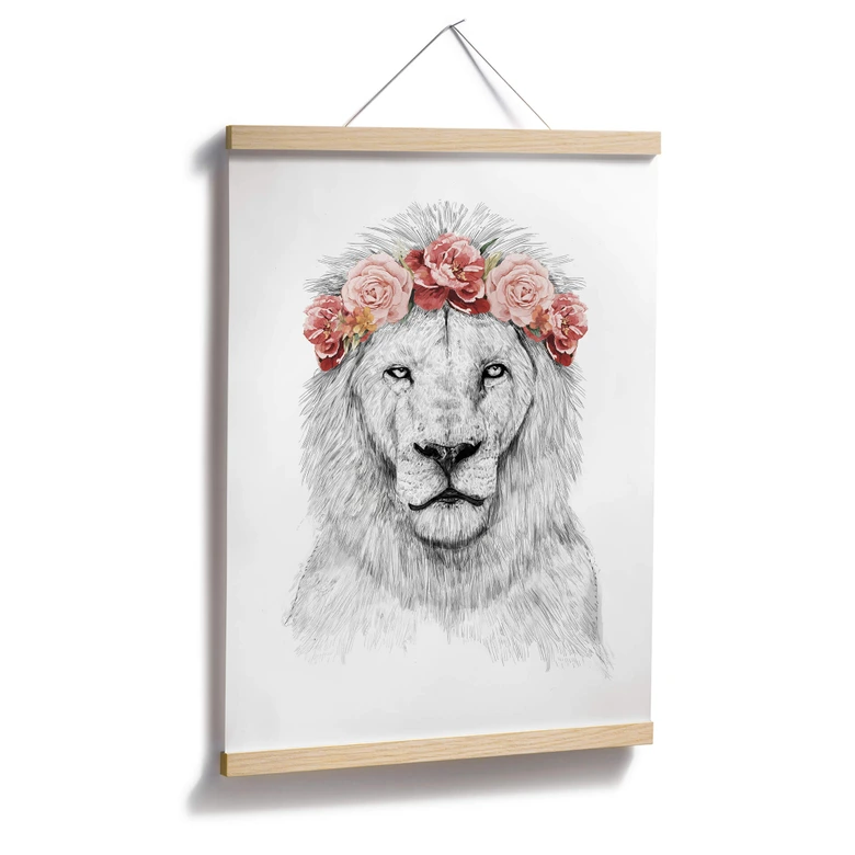 Plakat - Solti - Festival Lion 