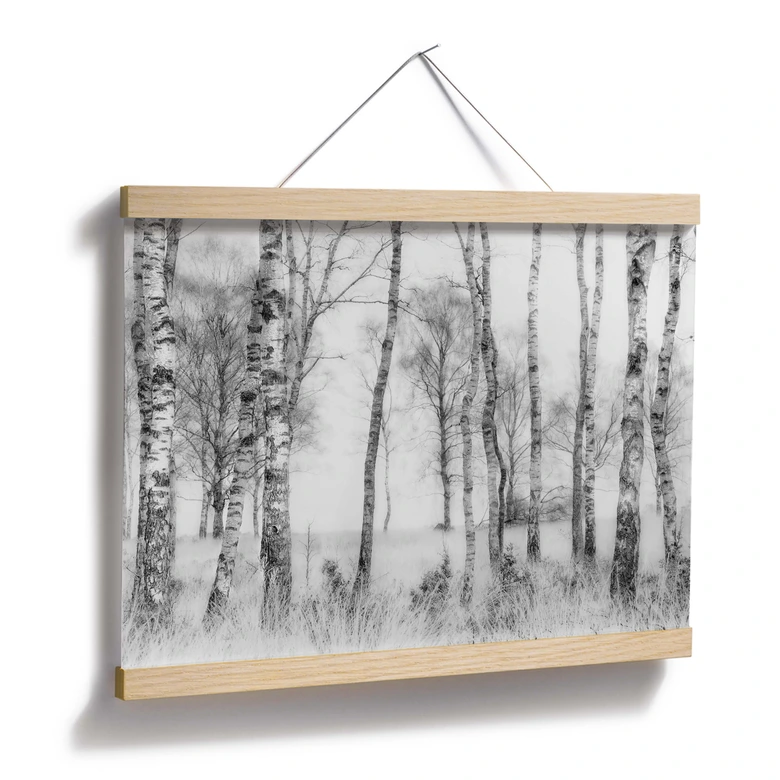 Poster Talen - Schwarz-weißer Birkenwald 