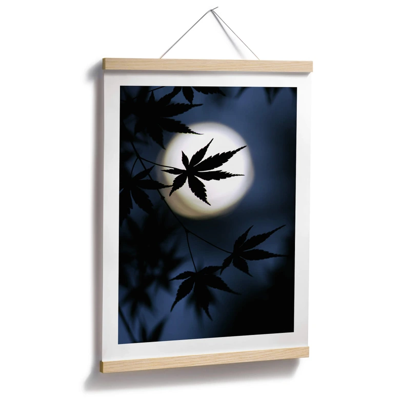 Plakat Tomihisa - Japoński klon w świetle księżyca 
