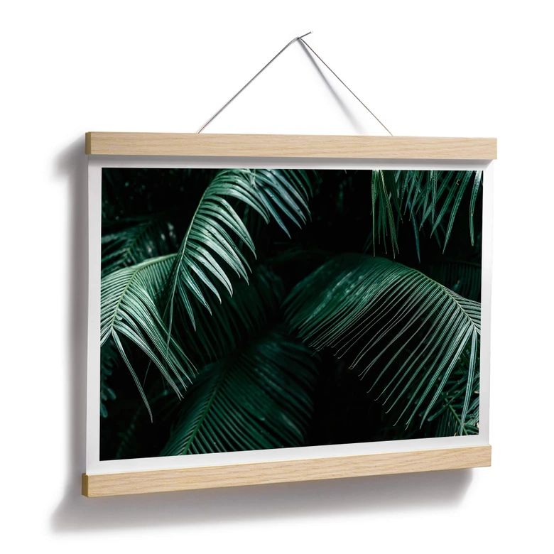 Poster Botanique tropicale 