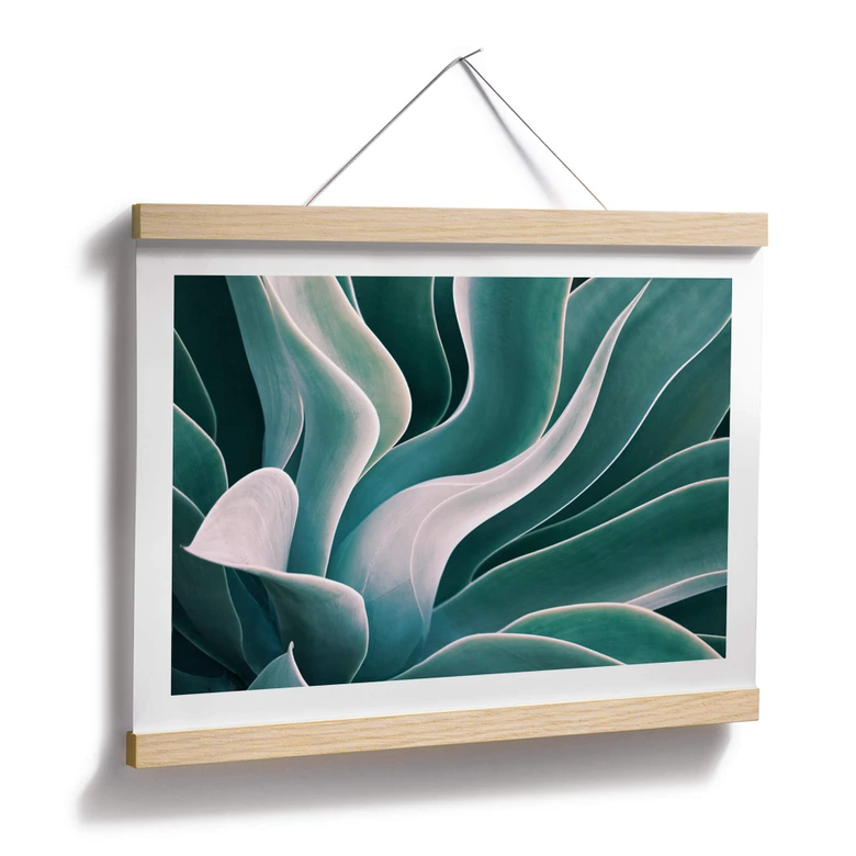 Poster Wechsler - Agave in de Ochtend 