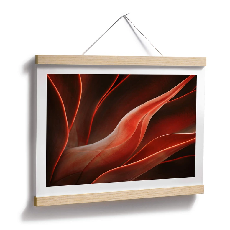 Poster Wechsler - Pflanzen Stillleben Agave im Herbst 