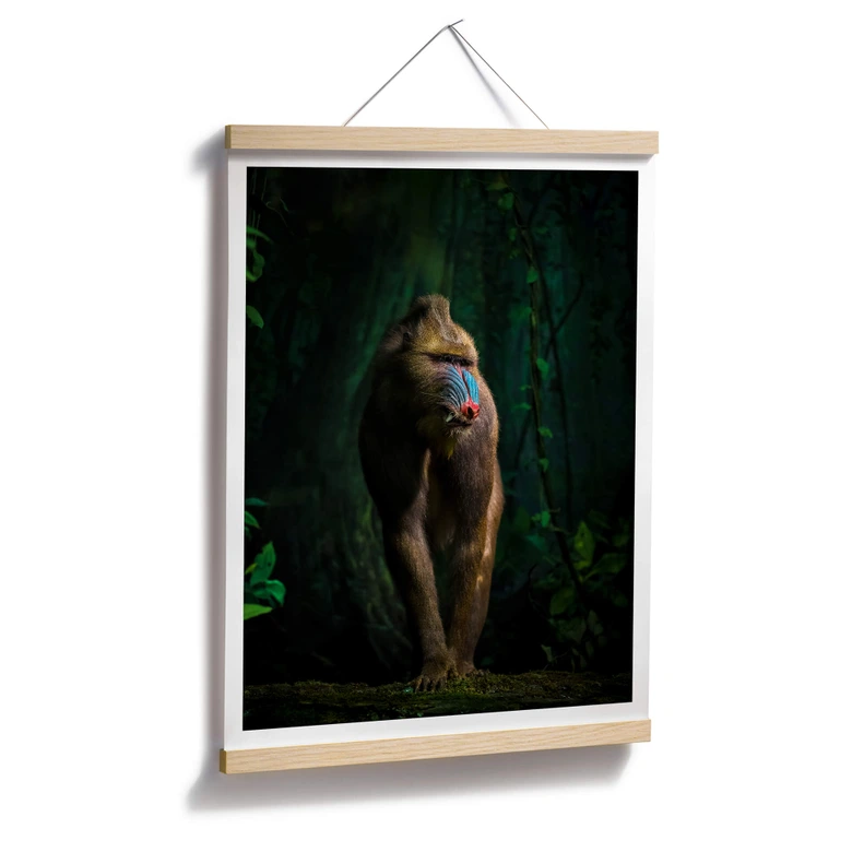 Poster Yunta - Im Dschungel 