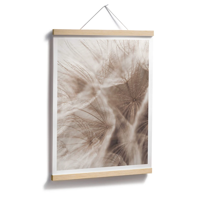 Poster Zarte Pusteblume 