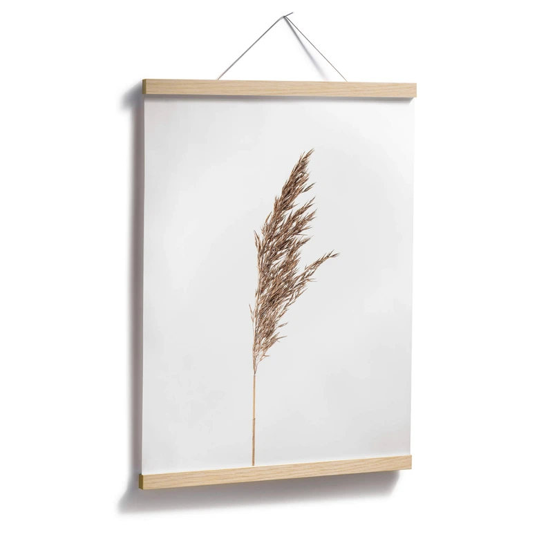 Poster Ziergras No. 1 