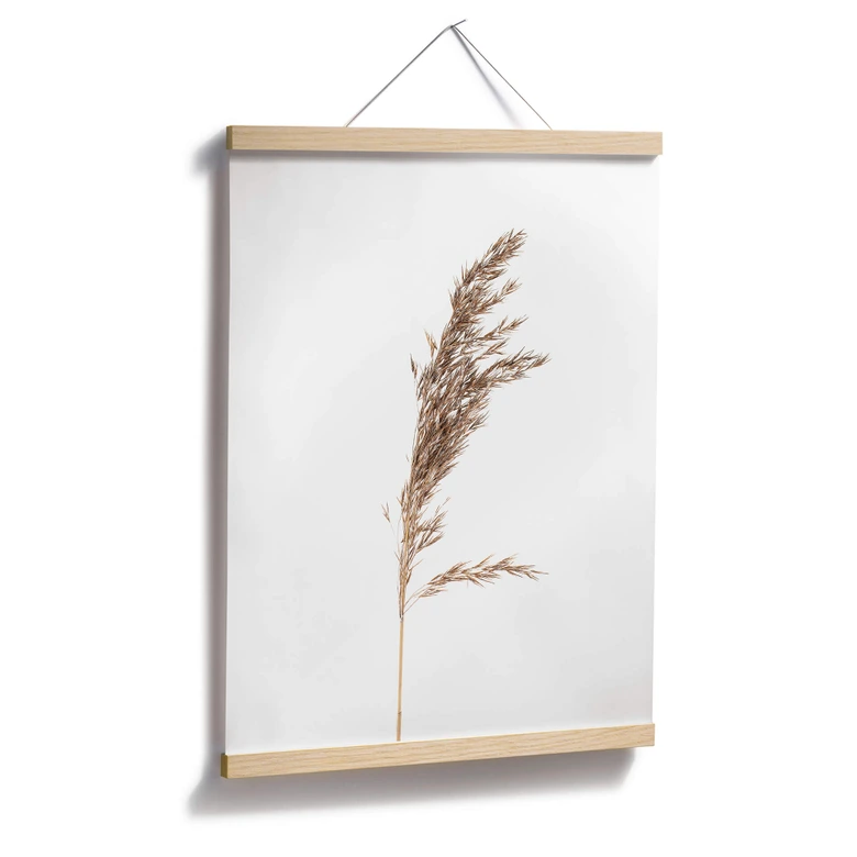 Poster Ziergras No. 3 