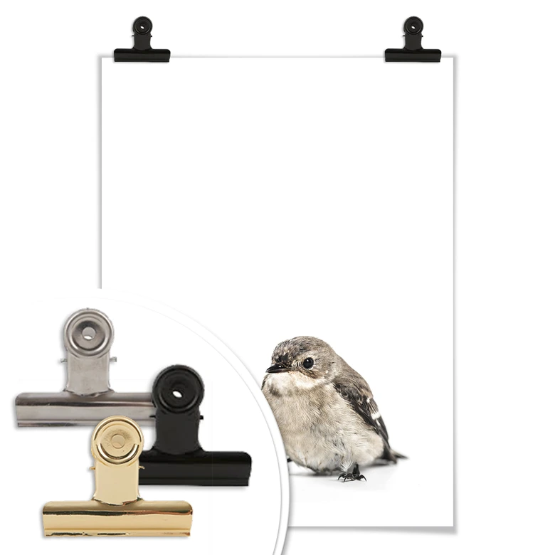 Poster Kleiner Spatz 