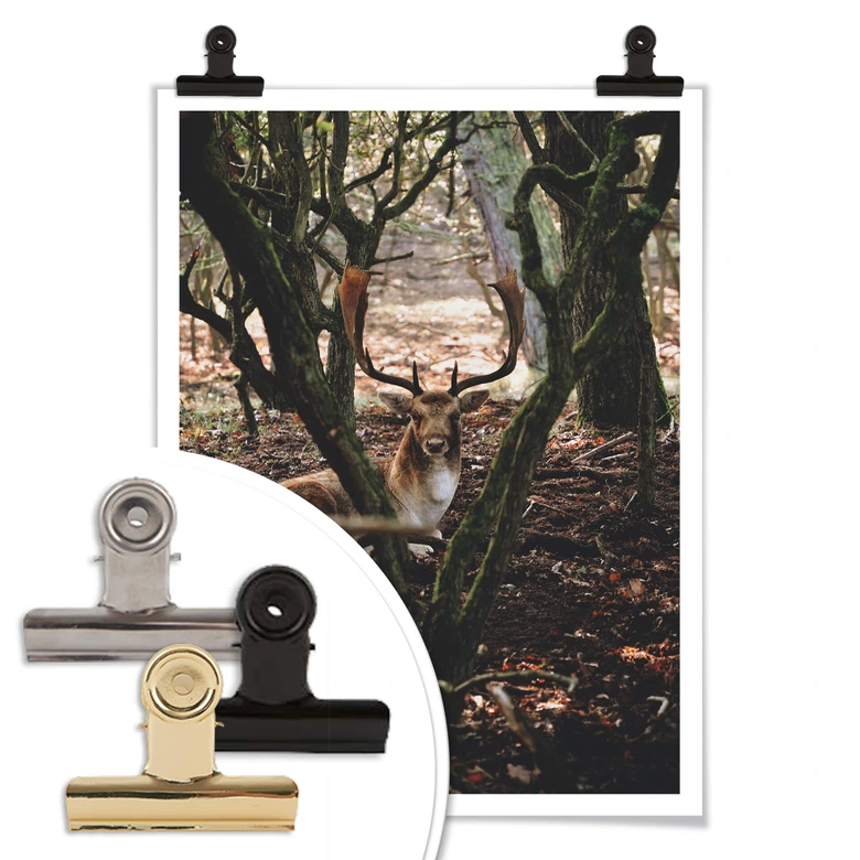 Poster Pause im Wald 