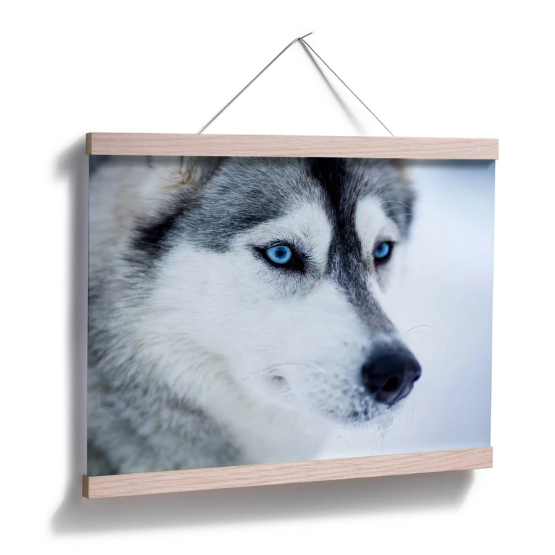 Poster ice-blue eyes 