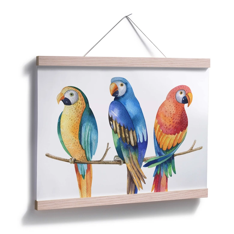 Poster Kvilis – Bonte Papegaaien 