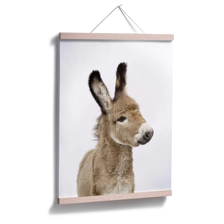 Plakat - Sisi & Seb - Baby Æsel 