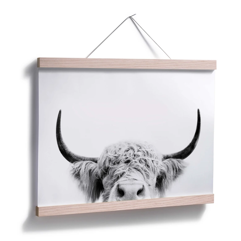 Plakat - Sisi & Seb - Bull 
