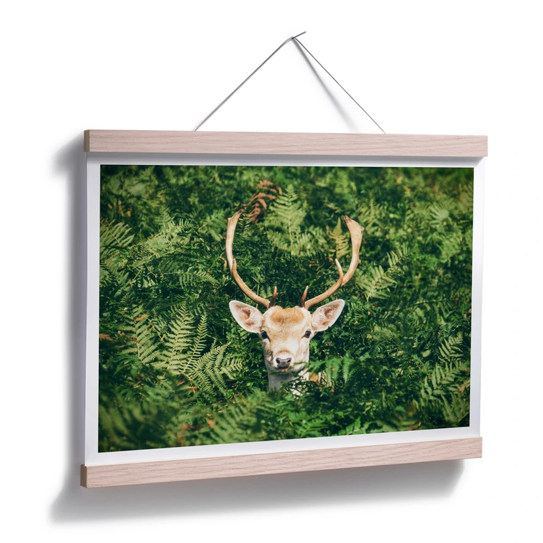 Poster Versteckspiel im Wald 