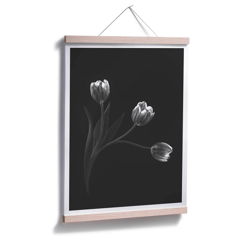 Poster Pan - Tulpentrio 