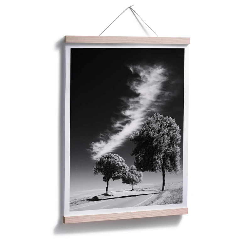 Póster Revestimientos de plata 