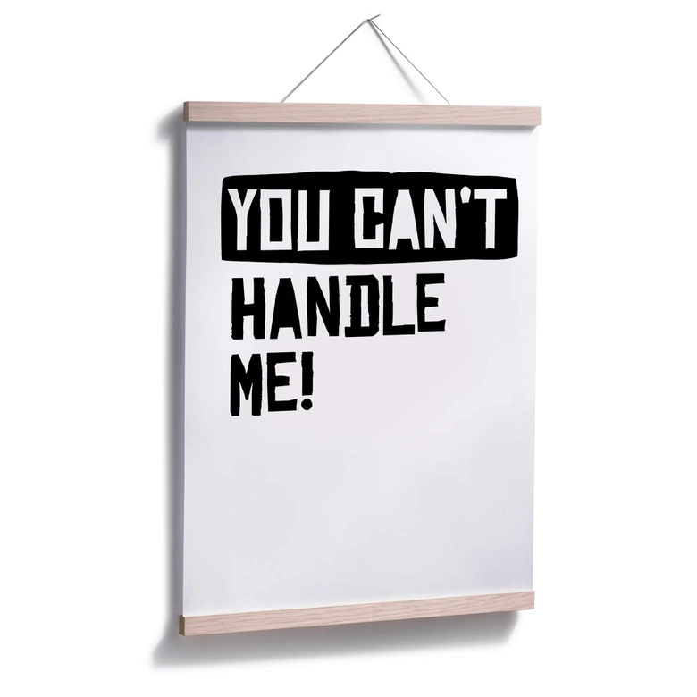 Poster You can't handle me 