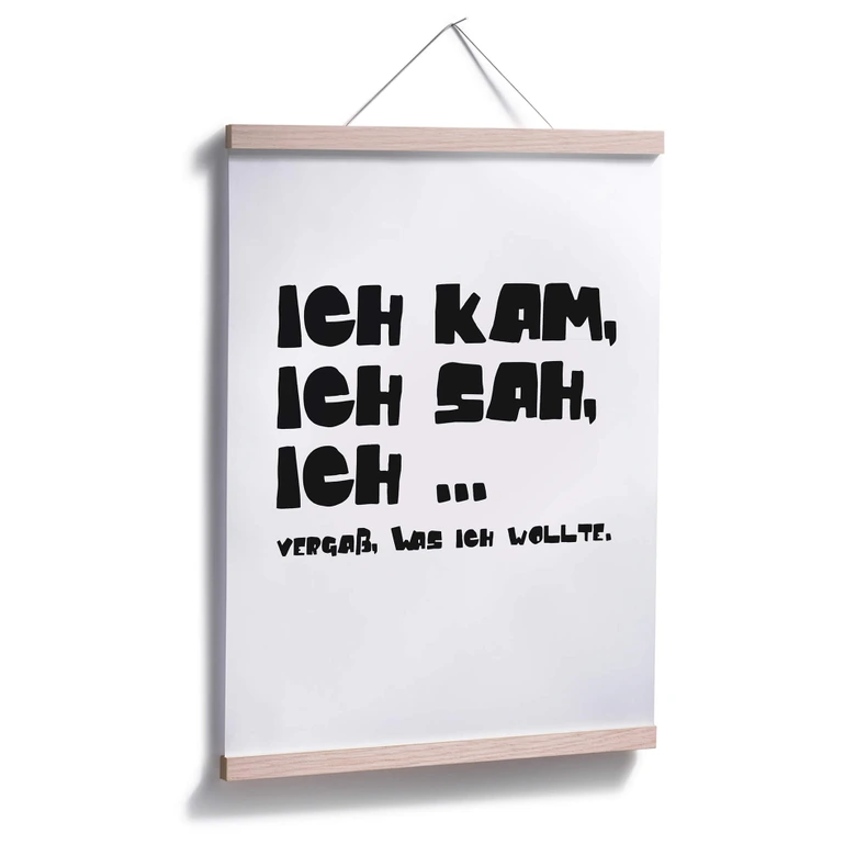 Poster Ich kam, ich sah und vergaß 