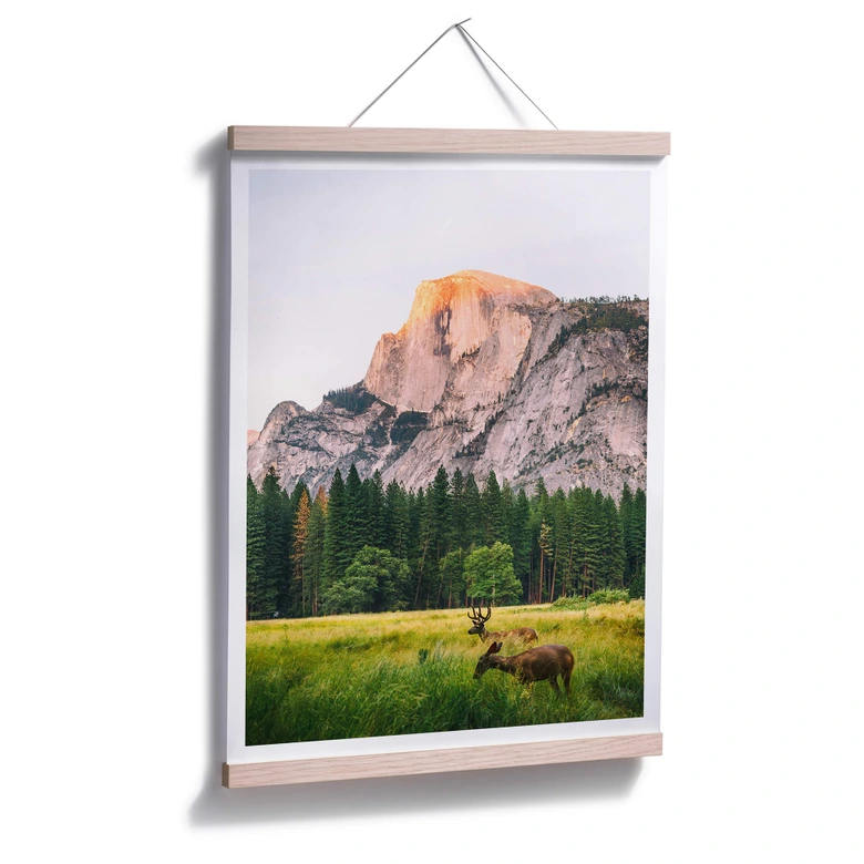 Poster Deers in the Mountains 