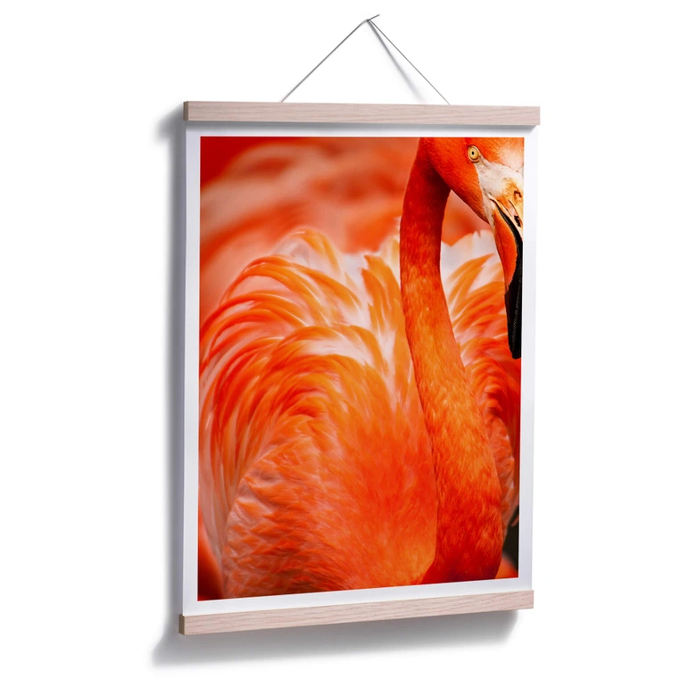 Póster del flamenco 