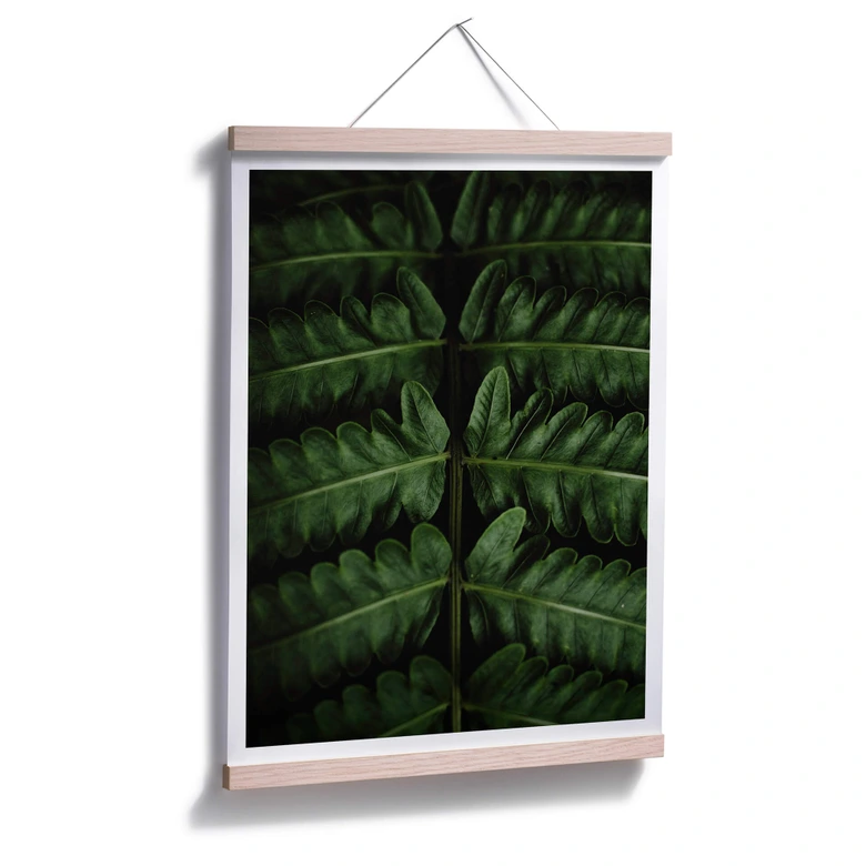 Poster Botanical 02  