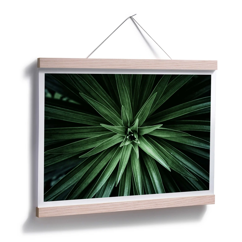 Poster Botanical 