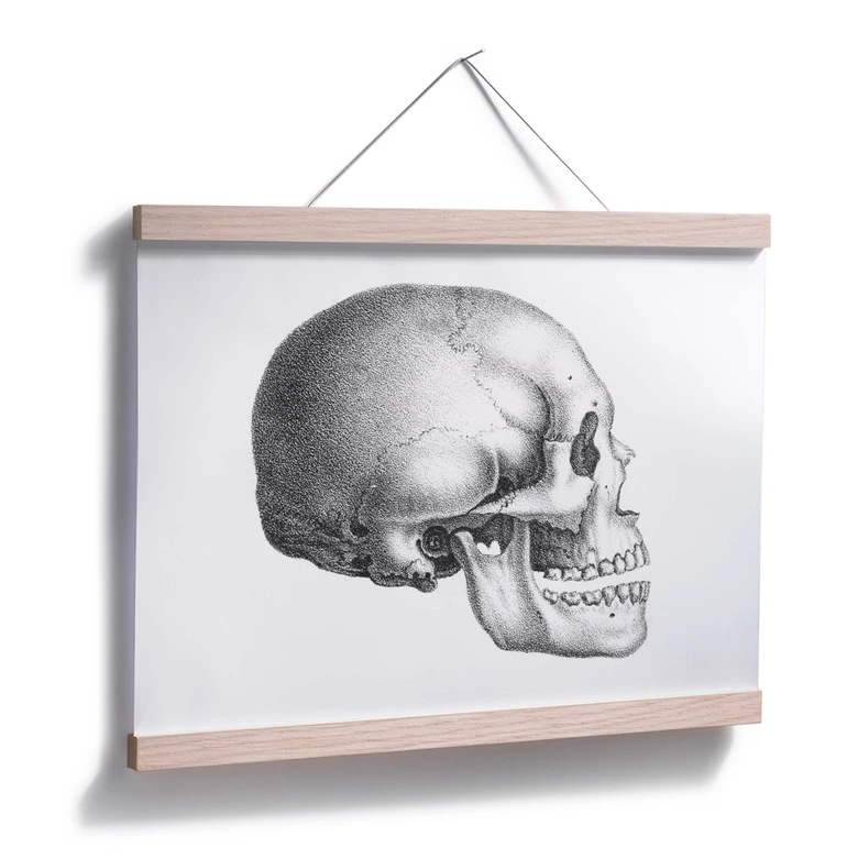 Poster Totenschädel 01 