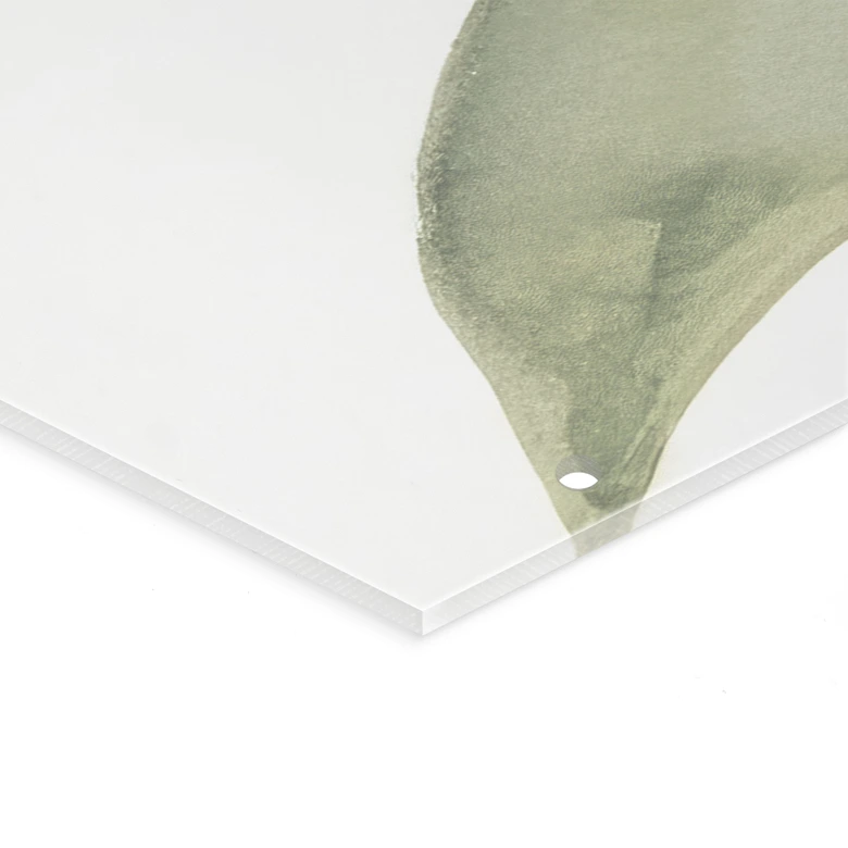 Séparation de pièce, Paravent, Paroi suspendue Feuilles tropicales - Boho - Haase 