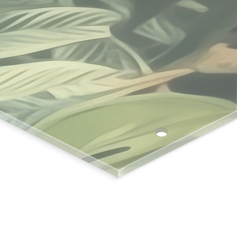 Séparation de pièce, paravent, paravent suspendu Plantes de la jungle - Jaszke 