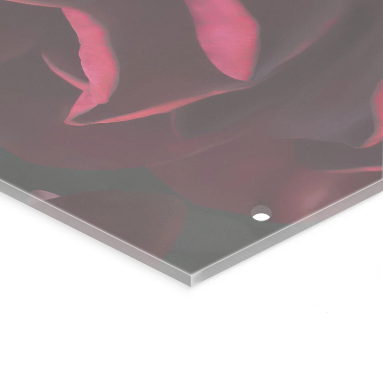 Rumsavdelare, skärm, hängande avskärmning Fleur de Paris - UN Designs 