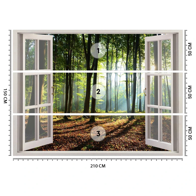 Fototapete Fensterblick Morgen im Wald 