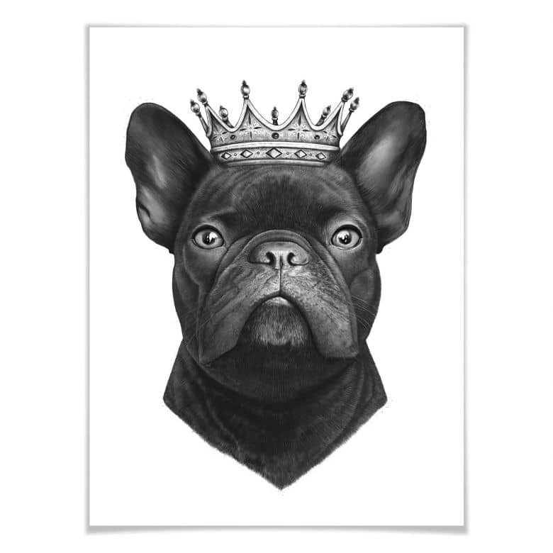 Poster Korenkova - King fransk bulldogg 