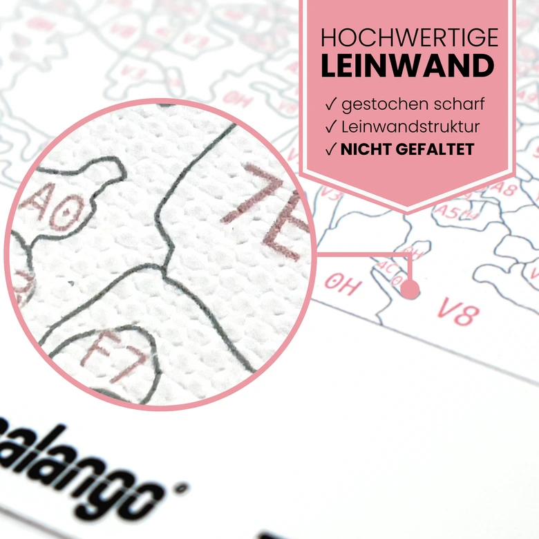 Malen nach Zahlen Leinwandbild - Giraffe Greta  