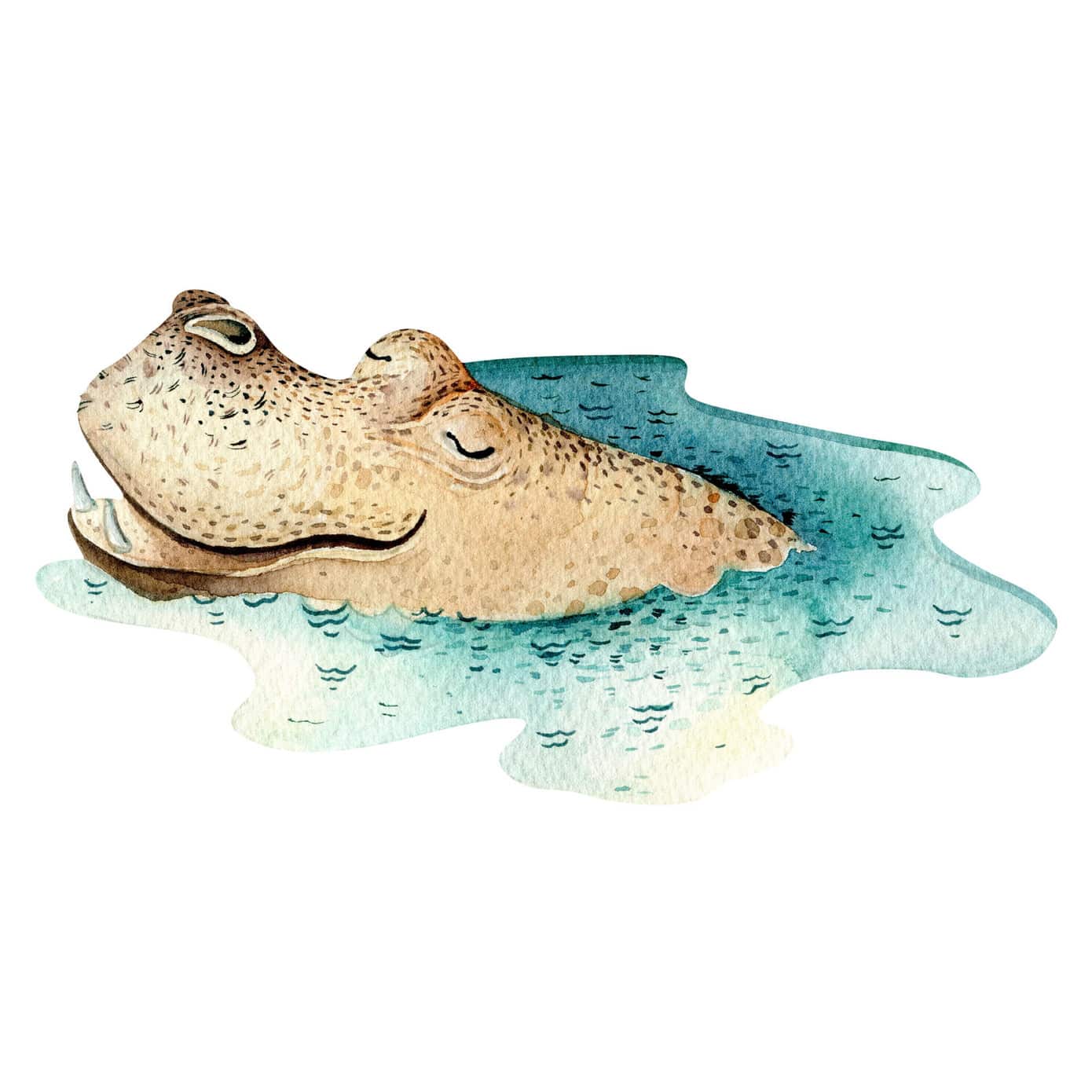 Sticker mural Kvilis Hippopotame rêveur wallart.fr