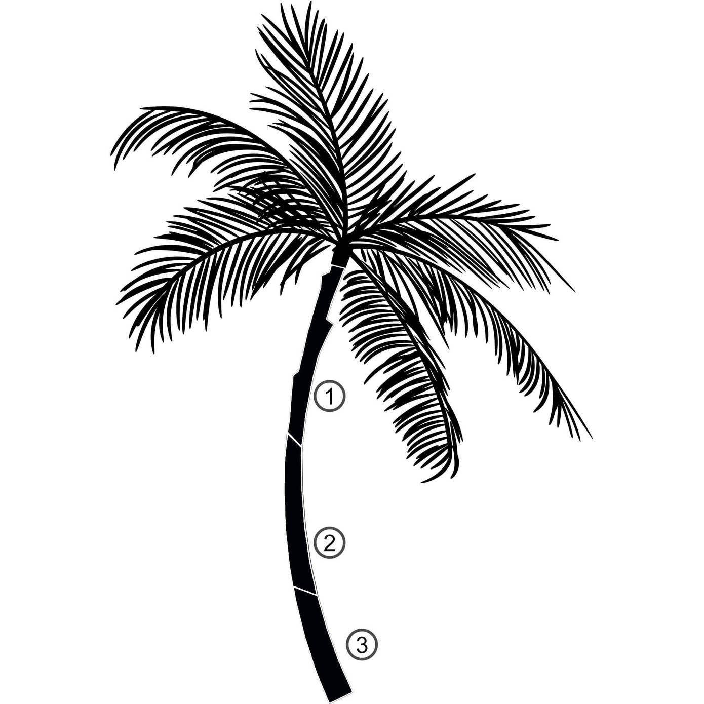 Decalmile Grand Sticker Mural Palmier Tropical - Autocollant Arbre Vert Décoration Chambre Salon Bureau
