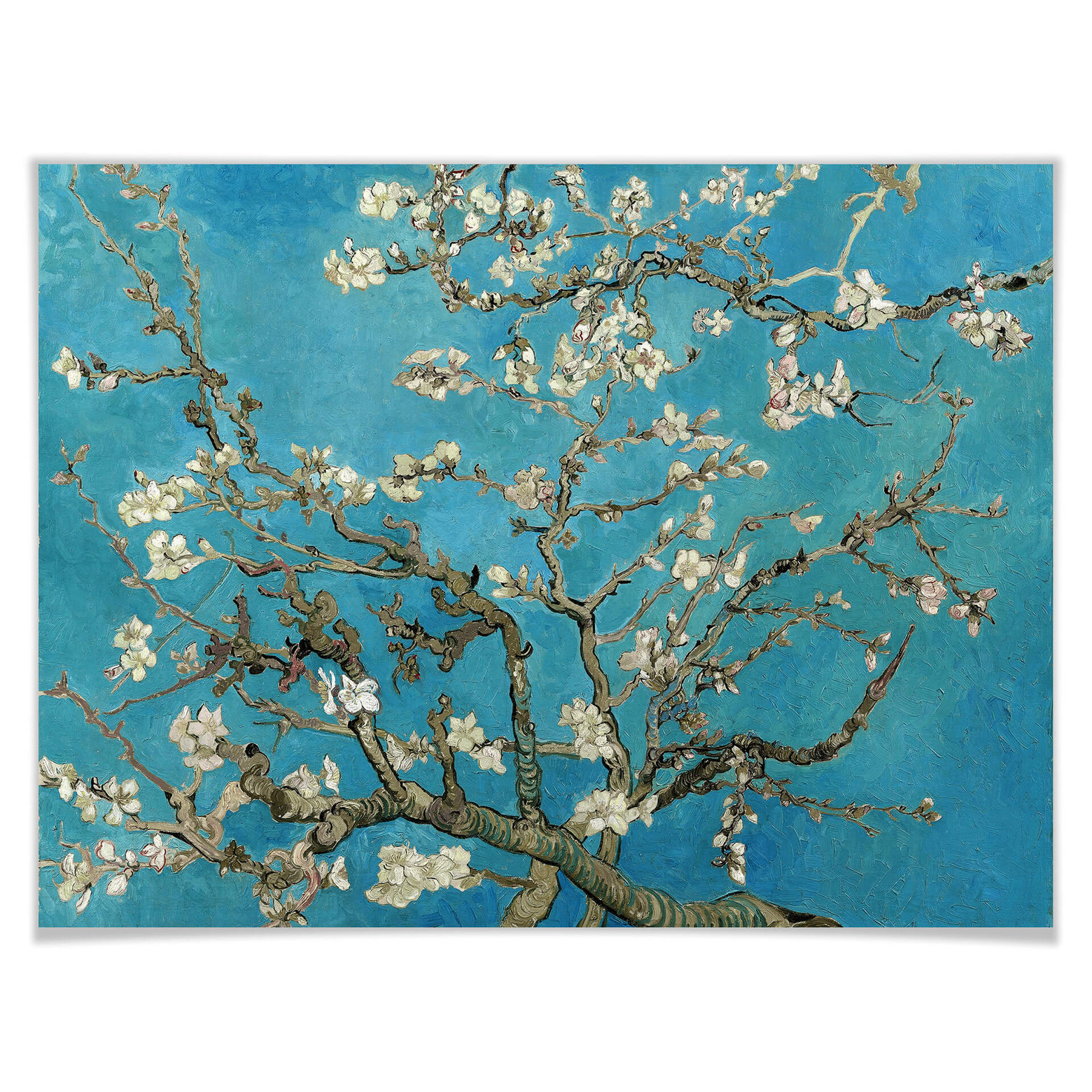 Wee Blue Coo Kunstdruck 'Van Gogh Mandelblüte' – 30x40 Cm, Ungerahmt, Hochwertiger Druck Auf Premium-Papier