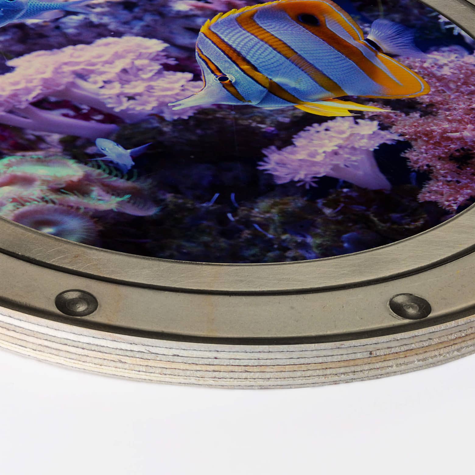 Wall Circle Wood 3D Optics Fish Underwater