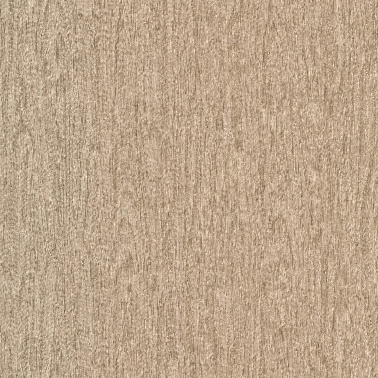 Versace Eterno wallpaper