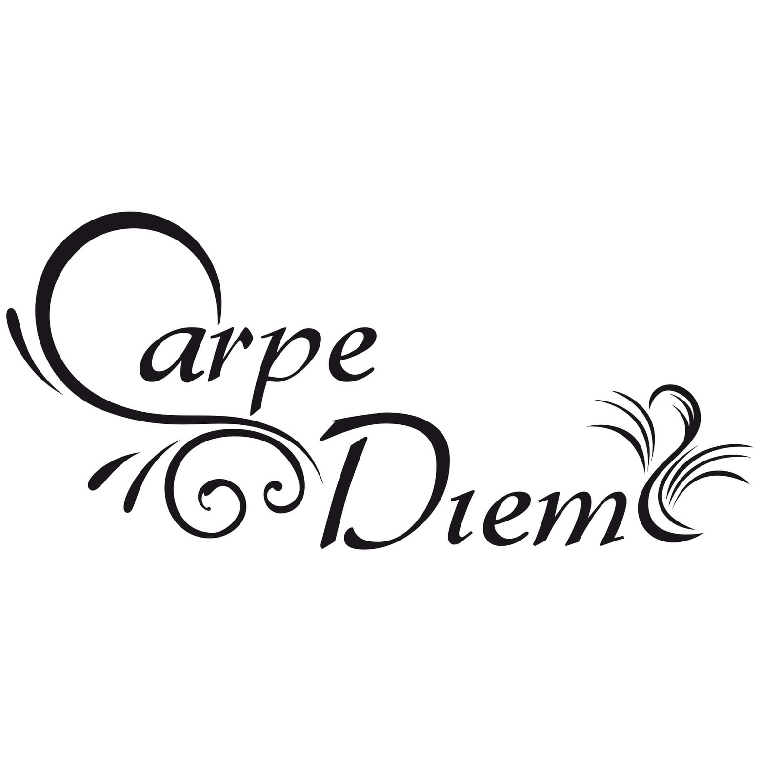 Wandtattoo „Carpe Diem“ – 70x60 Cm, Creme-weiß – Selbstklebend Für Viele Oberflächen