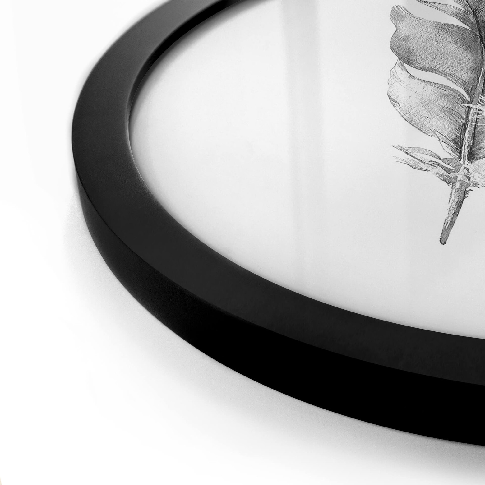 Poster Round Feathers