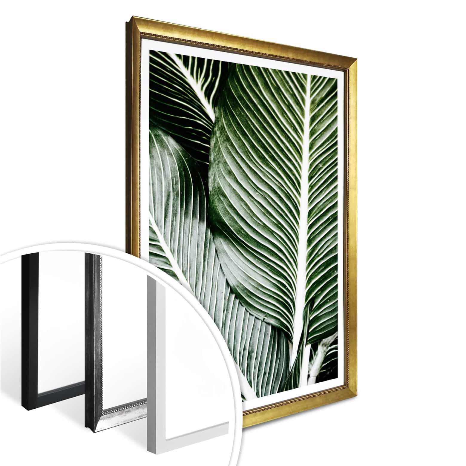 Poster Palm Tree Leaves wallart.nl
