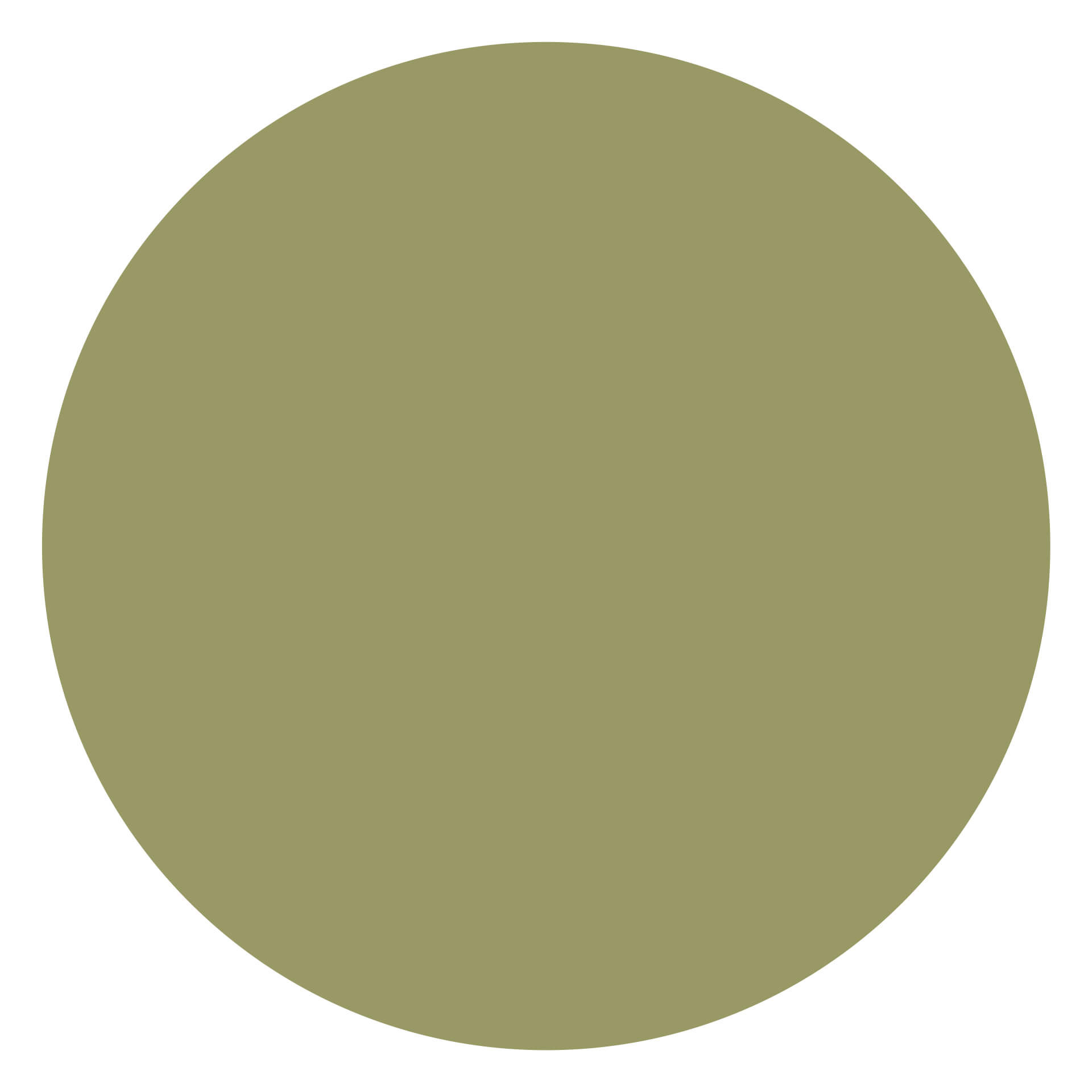 Sticker mural Cercle kaki Rond wallart.fr