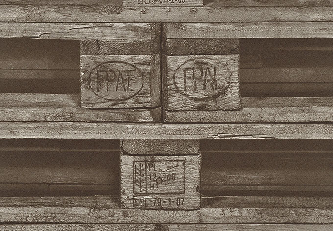 Rasch Vliestapete Crispy Paper natur, Erdtöne | wall-art.de