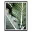 Affiche Feuille de bananier Beau Paysage Toile Peinture Mode Affiche d'art Mural et Impression